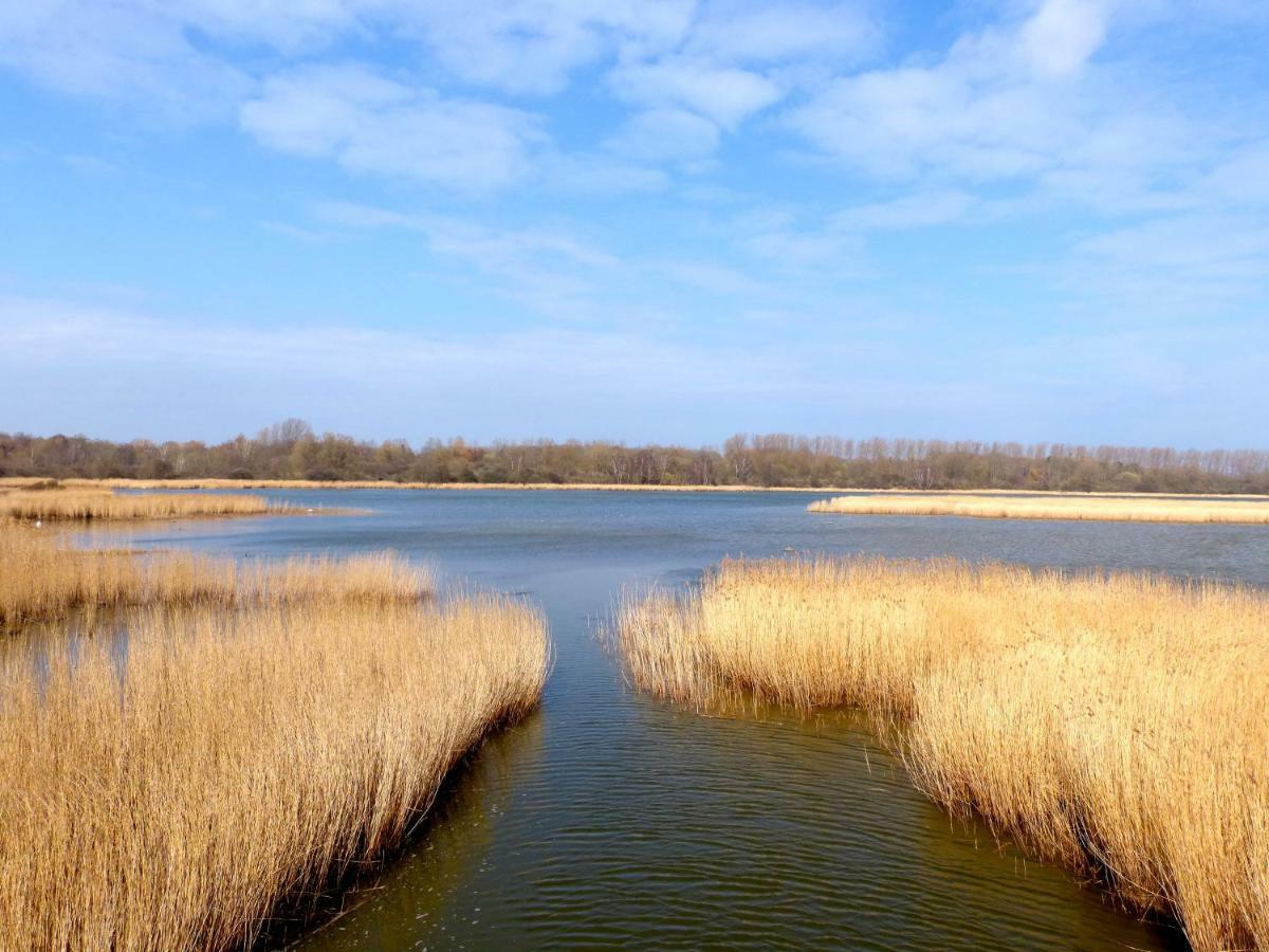 Gemuetliches In Strandnaehe Апартаменты Дранске