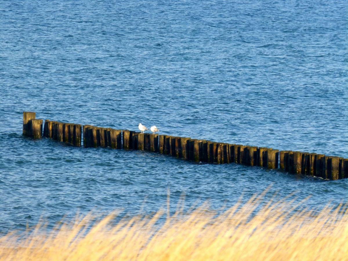 Gemuetliches In Strandnaehe Апартаменты Дранске