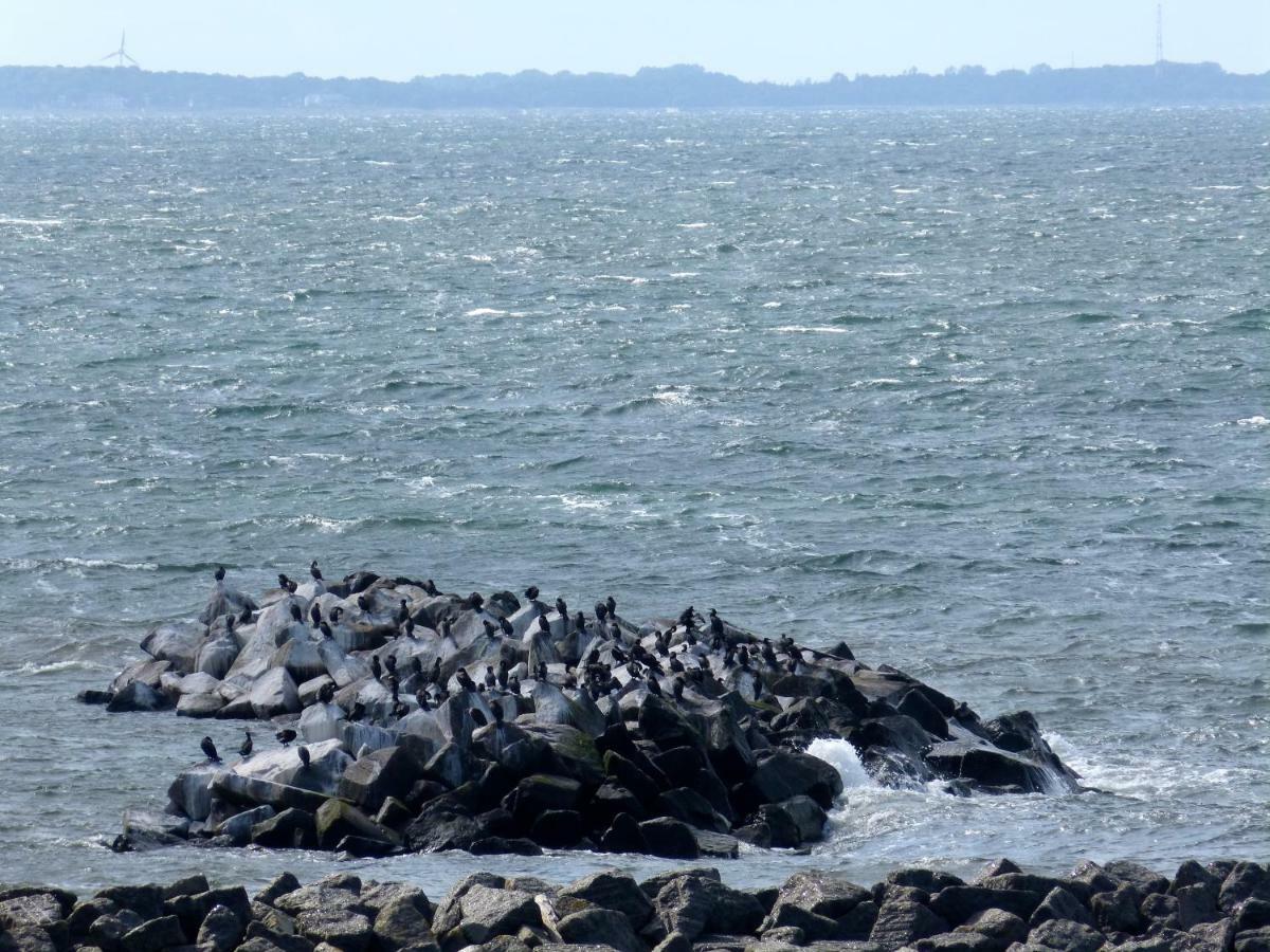Gemuetliches In Strandnaehe