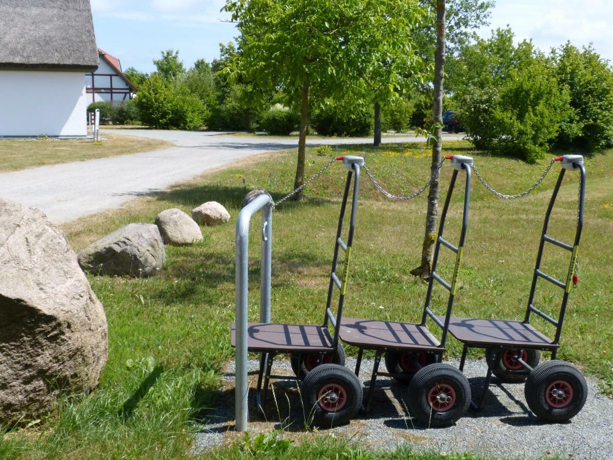 Gemuetliches In Strandnaehe Apartment Dranske
