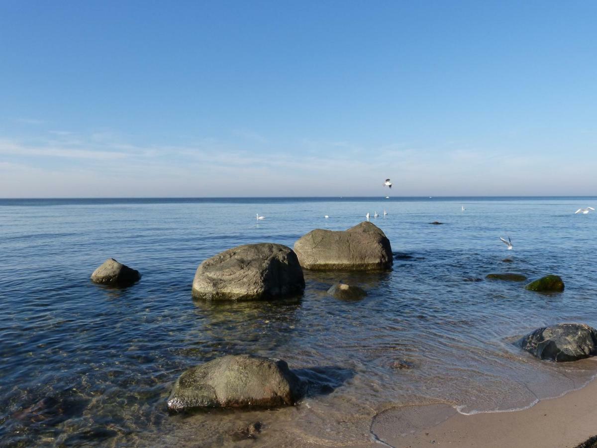 Apartment Gemuetliches In Strandnaehe Dranske