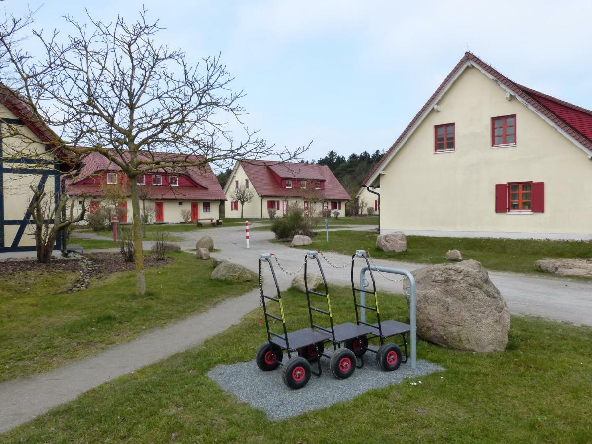 Apartment Gemuetliches In Strandnaehe *